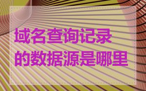 域名查询记录的数据源是哪里