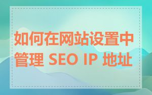 如何在网站设置中管理 SEO IP 地址