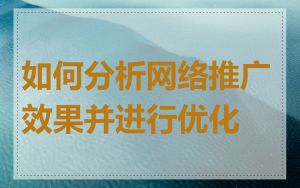 如何分析网络推广效果并进行优化
