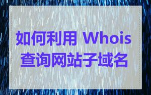 如何利用 Whois 查询网站子域名
