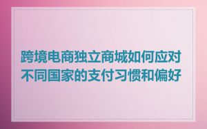 跨境电商独立商城如何应对不同国家的支付习惯和偏好