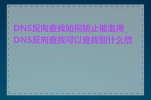 DNS反向查找如何防止被滥用_DNS反向查找可以查找到什么信息