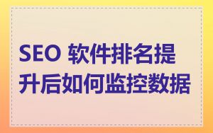 SEO 软件排名提升后如何监控数据