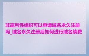 非赢利性组织可以申请域名永久注册吗_域名永久注册后如何进行域名续费