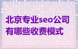 北京专业seo公司有哪些收费模式