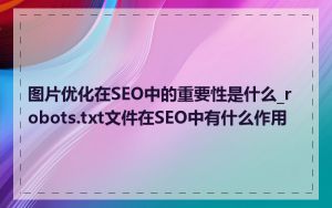 图片优化在SEO中的重要性是什么_robots.txt文件在SEO中有什么作用