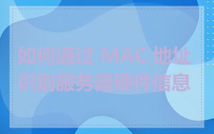 如何通过 MAC 地址识别服务器硬件信息