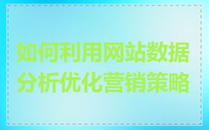 如何利用网站数据分析优化营销策略