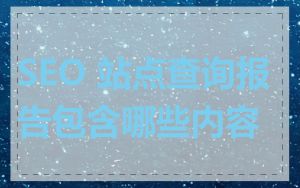 SEO 站点查询报告包含哪些内容