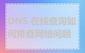 DNS 在线查询如何排查网络问题
