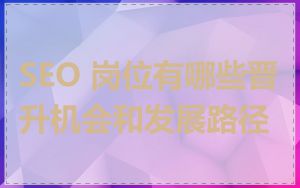 SEO 岗位有哪些晋升机会和发展路径