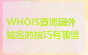 WHOIS查询国外域名的技巧有哪些