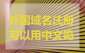 外国域名注册可以用中文吗