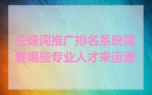 关键词推广排名系统需要哪些专业人才来运营