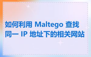 如何利用 Maltego 查找同一 IP 地址下的相关网站