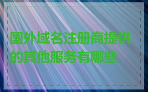 国外域名注册商提供的其他服务有哪些