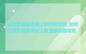 如何查看服务器上的所有域名_如何在域名管理平台上管理服务器域名