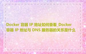 Docker 容器 IP 地址如何查看_Docker 容器 IP 地址与 DNS 服务器的关系是什么