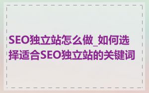 SEO独立站怎么做_如何选择适合SEO独立站的关键词