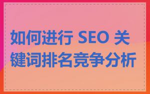 如何进行 SEO 关键词排名竞争分析