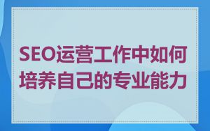 SEO运营工作中如何培养自己的专业能力
