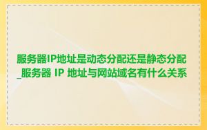 服务器IP地址是动态分配还是静态分配_服务器 IP 地址与网站域名有什么关系