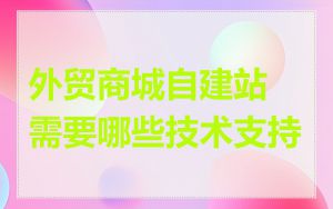 外贸商城自建站需要哪些技术支持