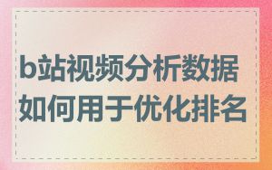 b站视频分析数据如何用于优化排名