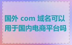 国外 com 域名可以用于国内电商平台吗