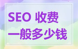 SEO 收费一般多少钱