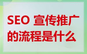 SEO 宣传推广的流程是什么