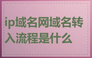 ip域名网域名转入流程是什么