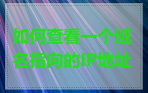 如何查看一个域名指向的IP地址