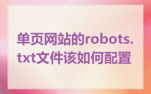 单页网站的robots.txt文件该如何配置