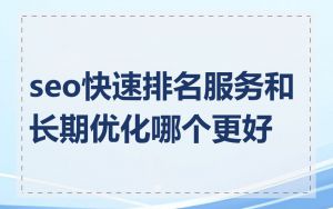 seo快速排名服务和长期优化哪个更好