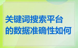 关键词搜索平台的数据准确性如何