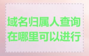 域名归属人查询在哪里可以进行