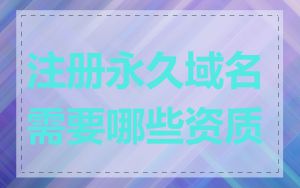 注册永久域名需要哪些资质