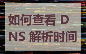 如何查看 DNS 解析时间