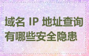 域名 IP 地址查询有哪些安全隐患