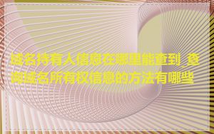 域名持有人信息在哪里能查到_查询域名所有权信息的方法有哪些