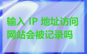 输入 IP 地址访问网站会被记录吗
