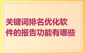 关键词排名优化软件的报告功能有哪些