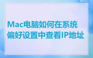 Mac电脑如何在系统偏好设置中查看IP地址