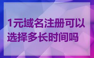 1元域名注册可以选择多长时间吗