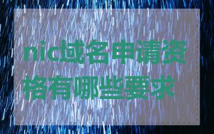 nic域名申请资格有哪些要求