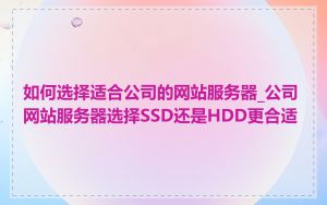 如何选择适合公司的网站服务器_公司网站服务器选择SSD还是HDD更合适