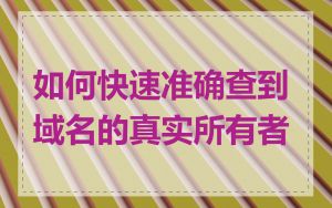 如何快速准确查到域名的真实所有者
