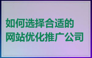如何选择合适的网站优化推广公司