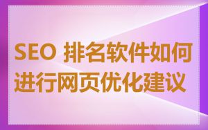 SEO 排名软件如何进行网页优化建议